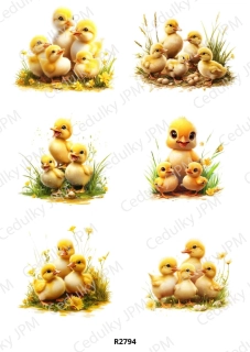 Rýžový a Soft papír A4 pro decoupage- R02794