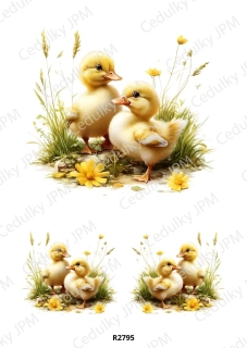Rýžový a Soft papír A4 pro decoupage- R02795
