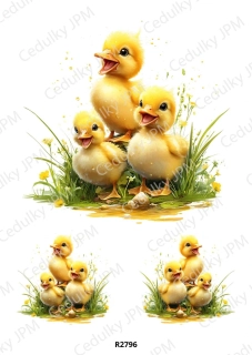Rýžový a Soft papír A4 pro decoupage- R02796