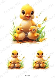 Rýžový a Soft papír A4 pro decoupage- R02797