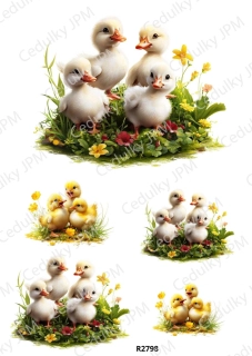 Rýžový a Soft papír A4 pro decoupage- R02798