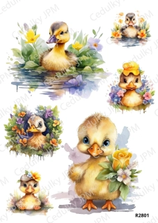 Rýžový a Soft papír A4 pro decoupage- R02801
