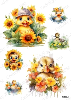 Rýžový a Soft papír A4 pro decoupage- R02802