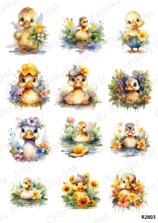 Rýžový a Soft papír A4 pro decoupage- R02803