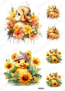 Rýžový a Soft papír A4 pro decoupage- R02804