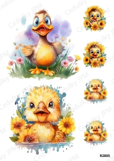 Rýžový a Soft papír A4 pro decoupage- R02805