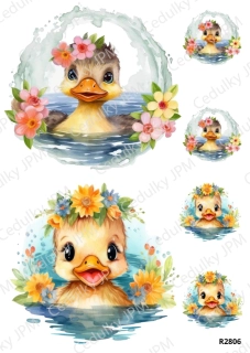 Rýžový a Soft papír A4 pro decoupage- R02806