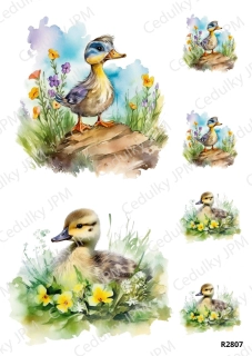 Rýžový a Soft papír A4 pro decoupage- R02807
