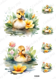 Rýžový a Soft papír A4 pro decoupage- R02808