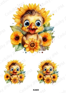 Rýžový a Soft papír A4 pro decoupage- R02809