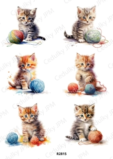 Rýžový a Soft  papír  A4 pro decoupage- R02815