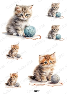 Rýžový a Soft  papír  A4 pro decoupage- R02817