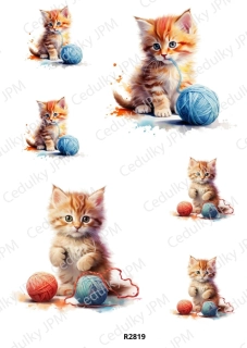 Rýžový a Soft  papír  A4 pro decoupage- R02819