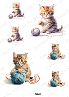 Rýžový a Soft  papír  A4 pro decoupage- R02822