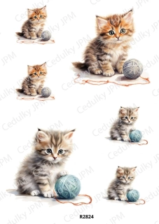 Rýžový a Soft  papír  A4 pro decoupage- R02824