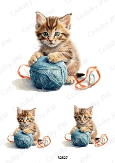 Rýžový a Soft  papír  A4 pro decoupage- R02827