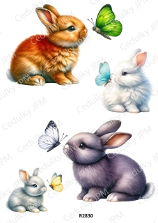 Rýžový a Soft papír A4 pro decoupage- R02830