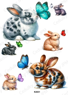 Rýžový a Soft papír A4 pro decoupage- R02831