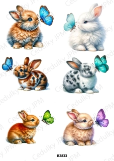 Rýžový a Soft papír A4 pro decoupage- R02833