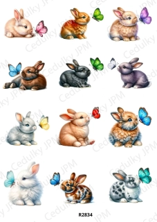 Rýžový a Soft papír A4 pro decoupage- R02834
