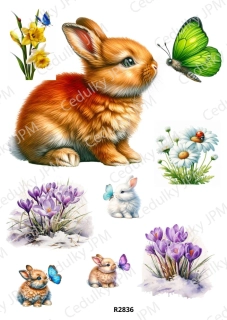 Rýžový a Soft papír A4 pro decoupage- R02836