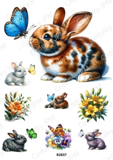Rýžový a Soft papír A4 pro decoupage- R02837