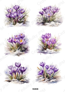 Rýžový a Soft  papír  A4 pro decoupage- R02838