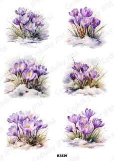 Rýžový a Soft  papír  A4 pro decoupage- R02839