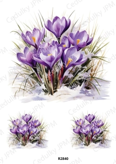 Rýžový a Soft papír A4 pro decoupage- R02840