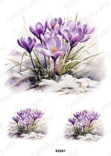 Rýžový a Soft papír A4 pro decoupage- R02841