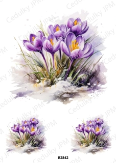 Rýžový a Soft  papír  A4 pro decoupage- R02842