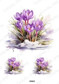 Rýžový a Soft  papír  A4 pro decoupage- R02843