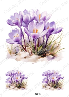 Rýžový a Soft  papír  A4 pro decoupage- R02845