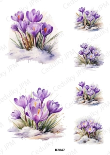 Rýžový a Soft papír A4 pro decoupage- R02847