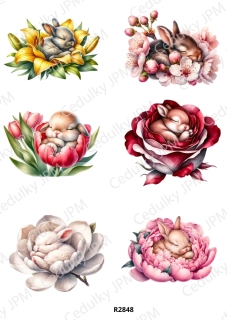 Rýžový a Soft papír A4 pro decoupage- R02848