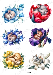 Rýžový a Soft papír A4 pro decoupage- R02849