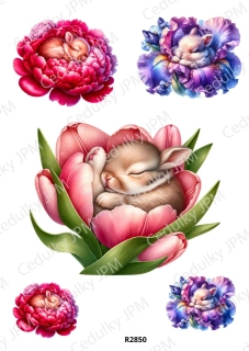 Rýžový a Soft papír A4 pro decoupage- R02850