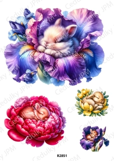 Rýžový a Soft papír A4 pro decoupage- R02851