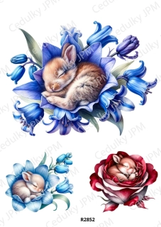 Rýžový a Soft papír A4 pro decoupage- R02852