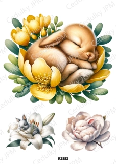 Rýžový a Soft papír A4 pro decoupage- R02853