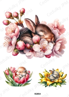 Rýžový a Soft papír A4 pro decoupage- R02854
