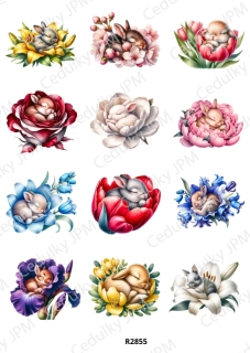 Rýžový a Soft papír A4 pro decoupage- R02855
