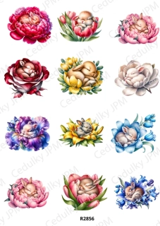 Rýžový a Soft papír A4 pro decoupage- R02856