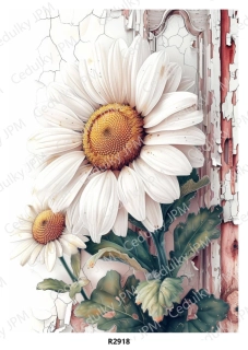 Rýžový a Soft papír A4 pro decoupage- R02918