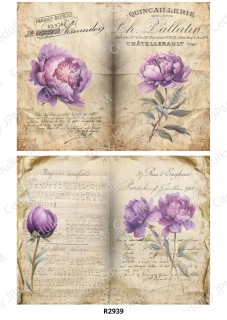 Rýžový a Soft  papír  A4 pro decoupage- R02939