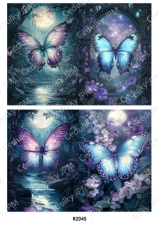 Rýžový a Soft  papír  A4 pro decoupage- R02945