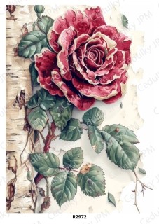 Rýžový a Soft  papír  A4 pro decoupage- R02972