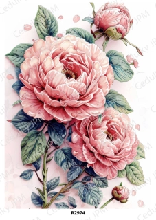 Rýžový a Soft papír A4 pro decoupage- R02974