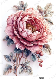 Rýžový a Soft  papír  A4 pro decoupage- R02975