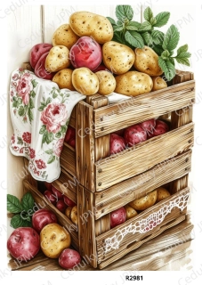 Rýžový a Soft papír A4 pro decoupage- R02981